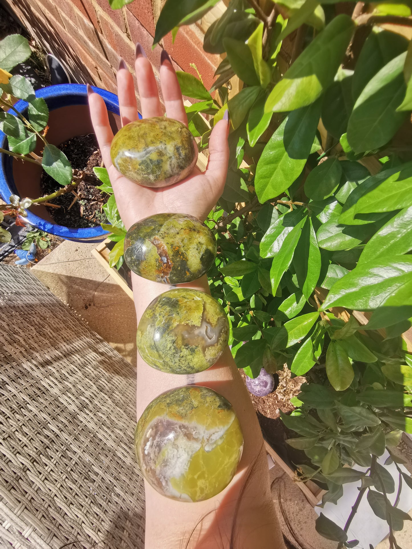 Green Opal Palm Stones from Madagascar