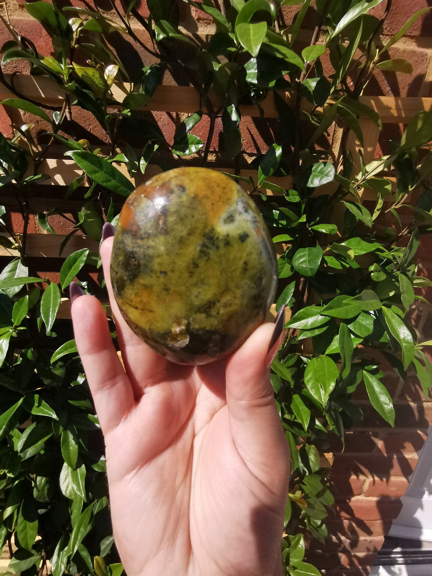 Green Opal Palm Stones from Madagascar