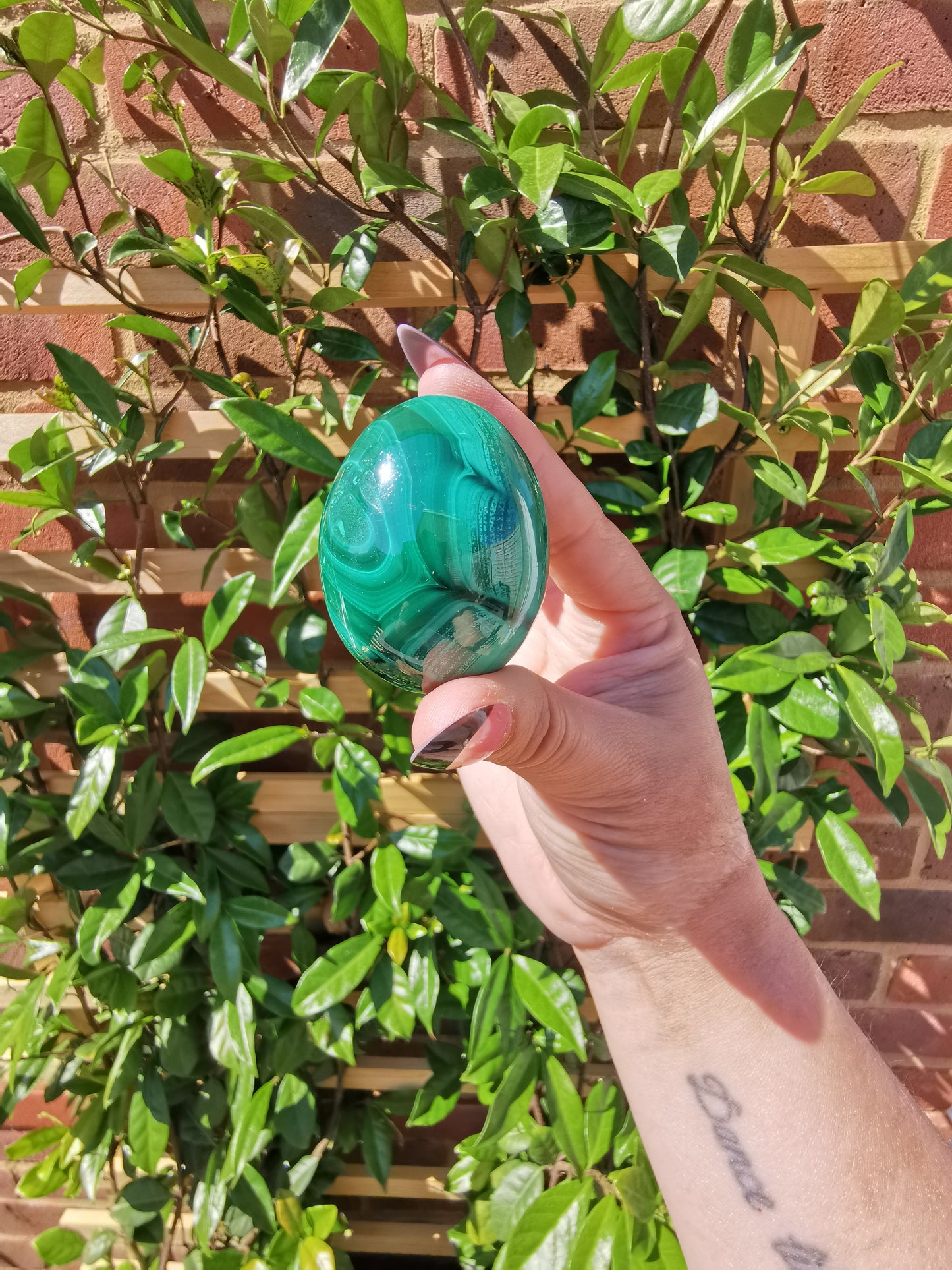 A Grade Flower Banded Malachite Eggs from Congo