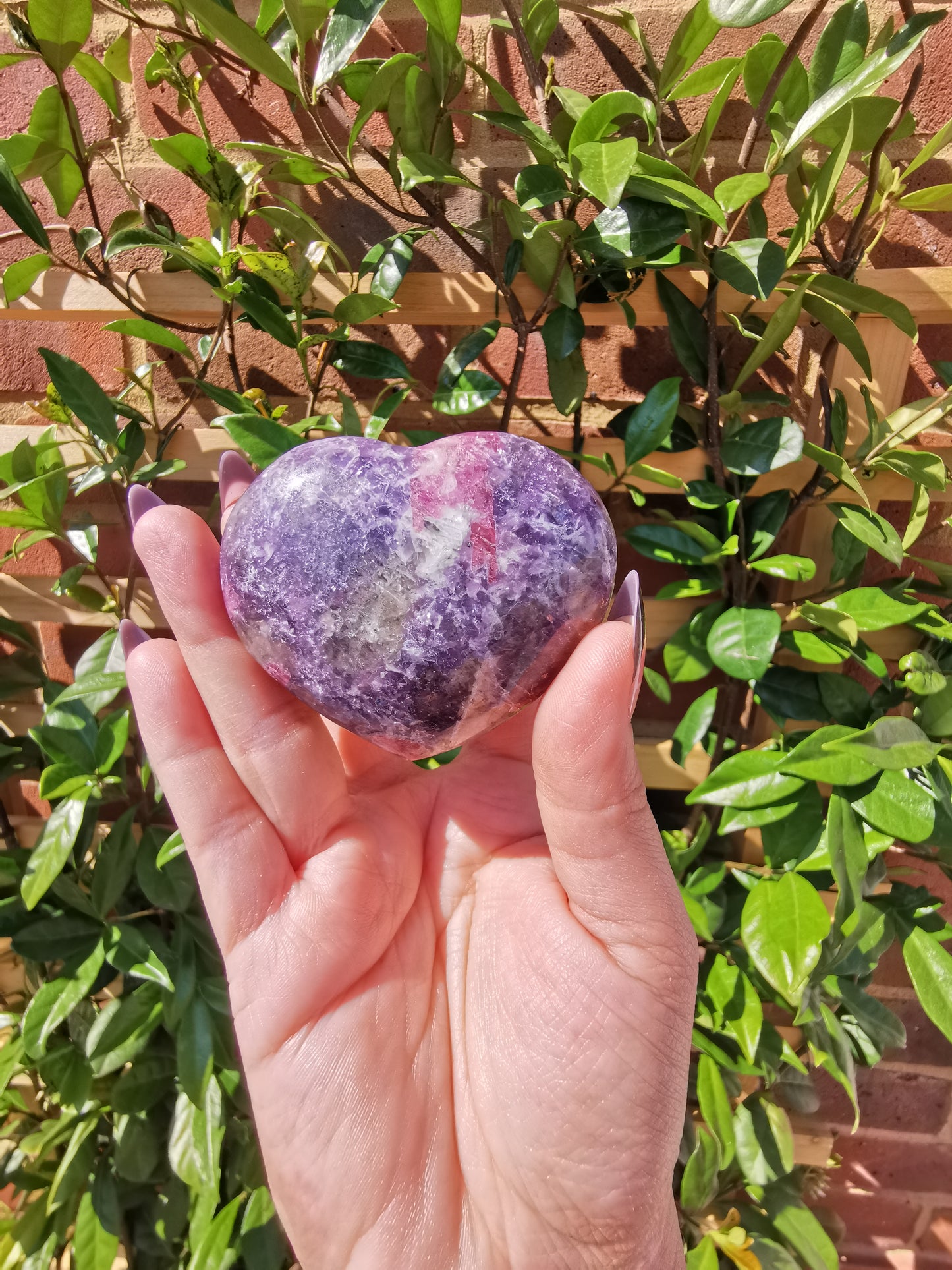 Lepidolite with Rubellite Hearts from Madagascar