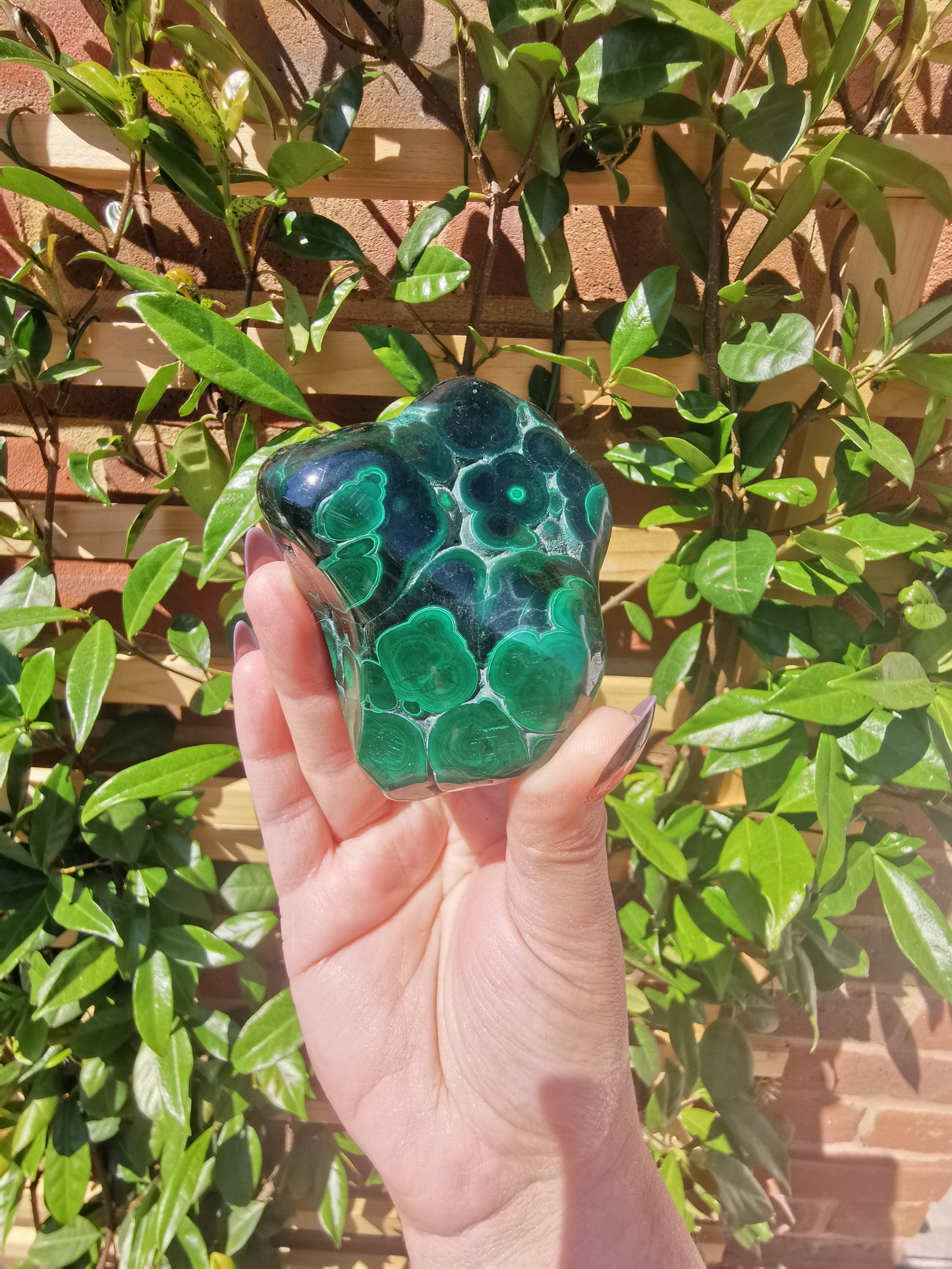 Malachite Free Forms from Congo