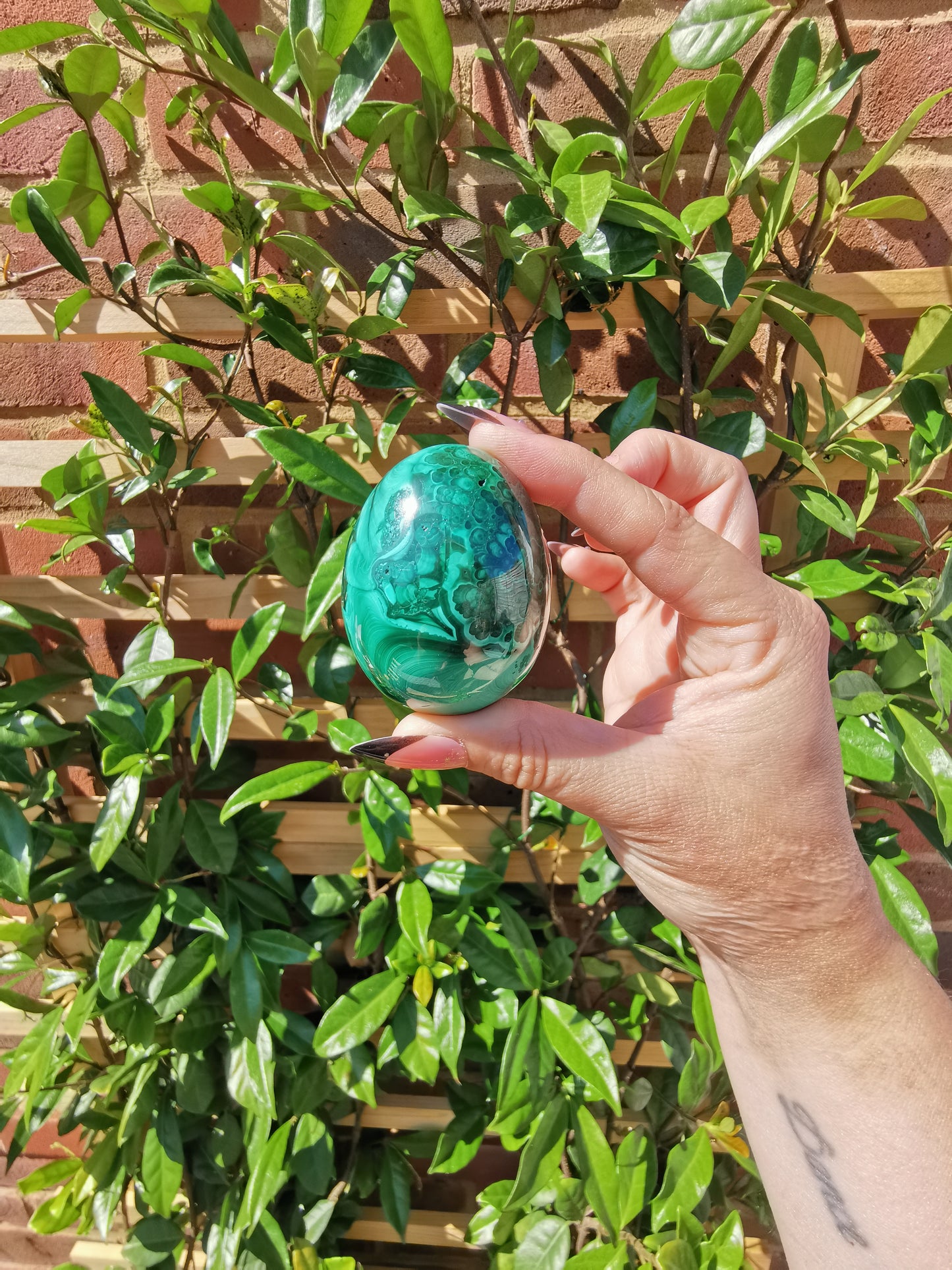 A Grade Flower Banded Malachite Eggs from Congo