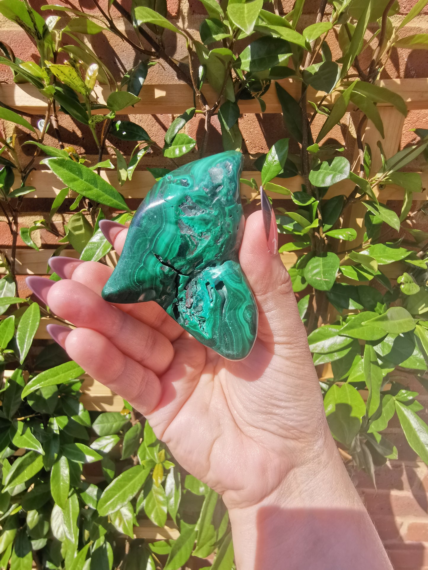 Malachite Free Forms from Congo