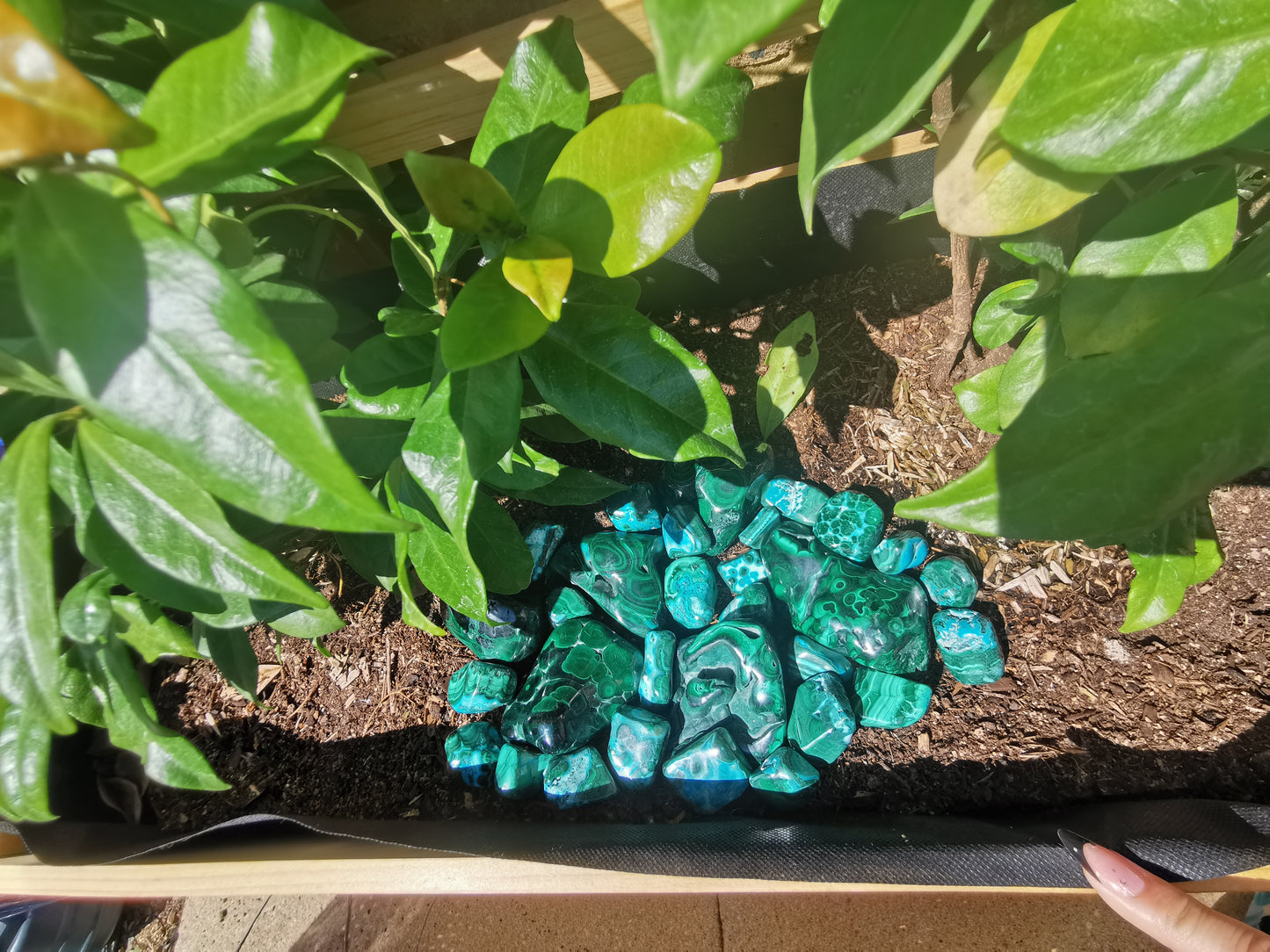 Malachite Free Forms from Congo