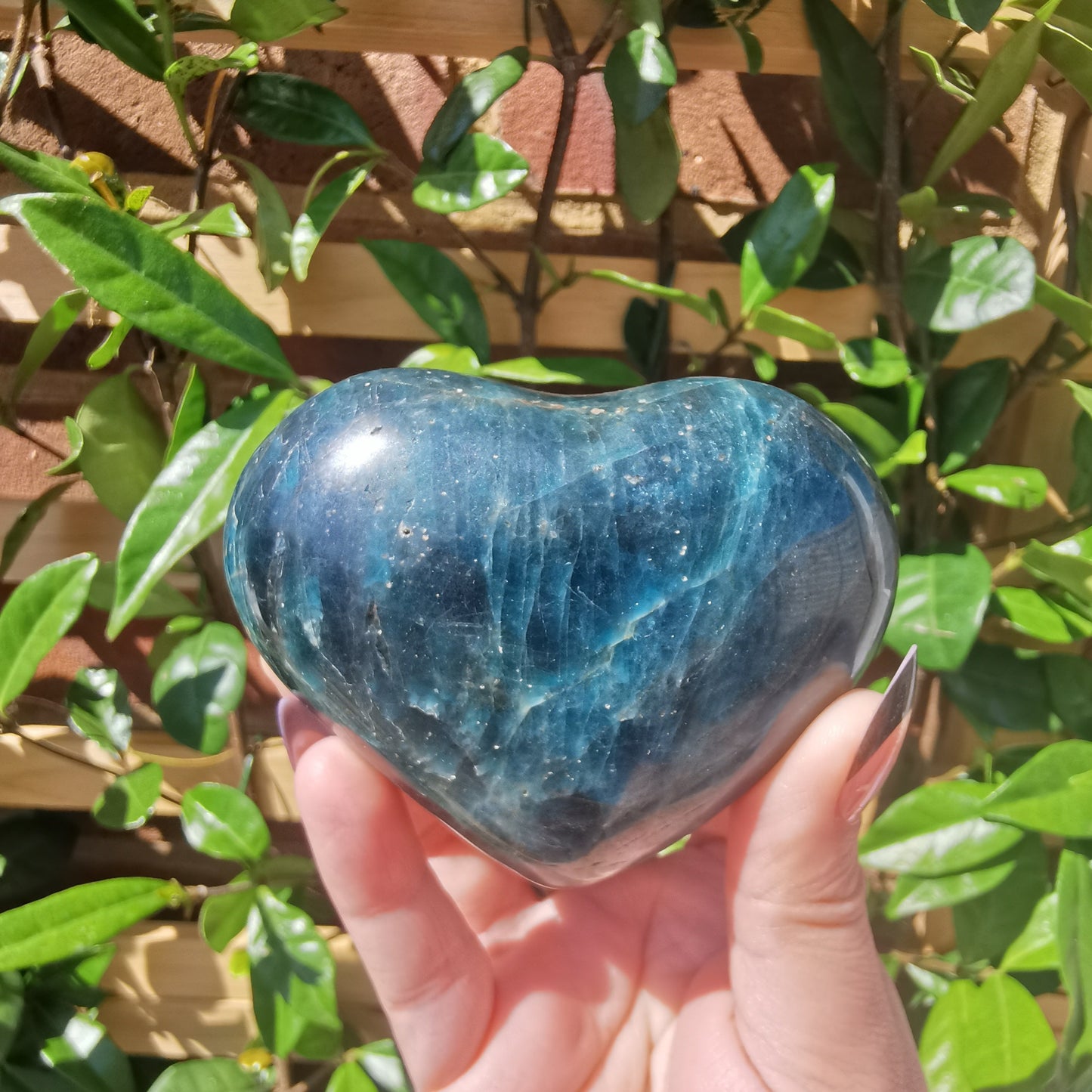 Blue Apatite Hearts from Madagascar