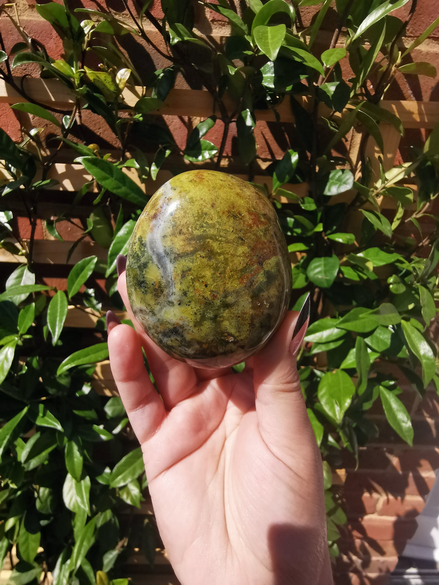 Green Opal Palm Stones from Madagascar