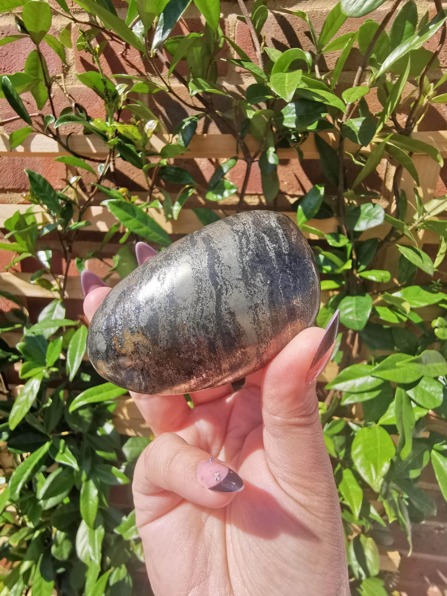 *Rare* Pharoah Stone - Pyrite in Basalt Palm Stones from Zimbabwe