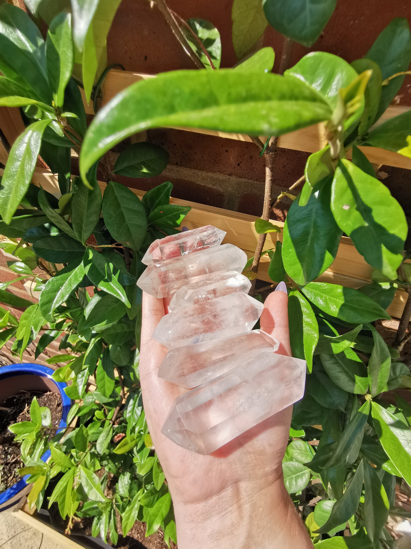 Double Terminated Clear Quartz from Madagascar