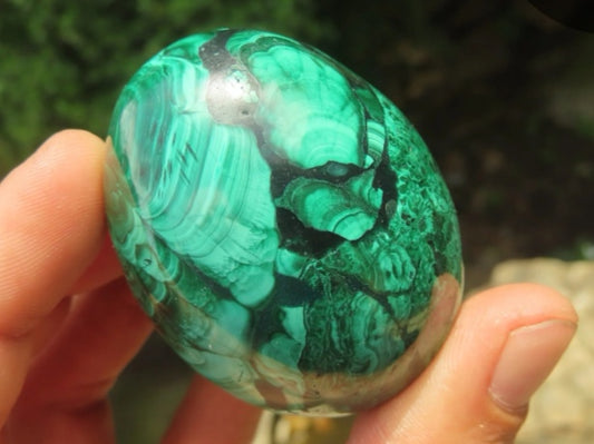 A Grade Flower Banded Malachite Eggs from Congo