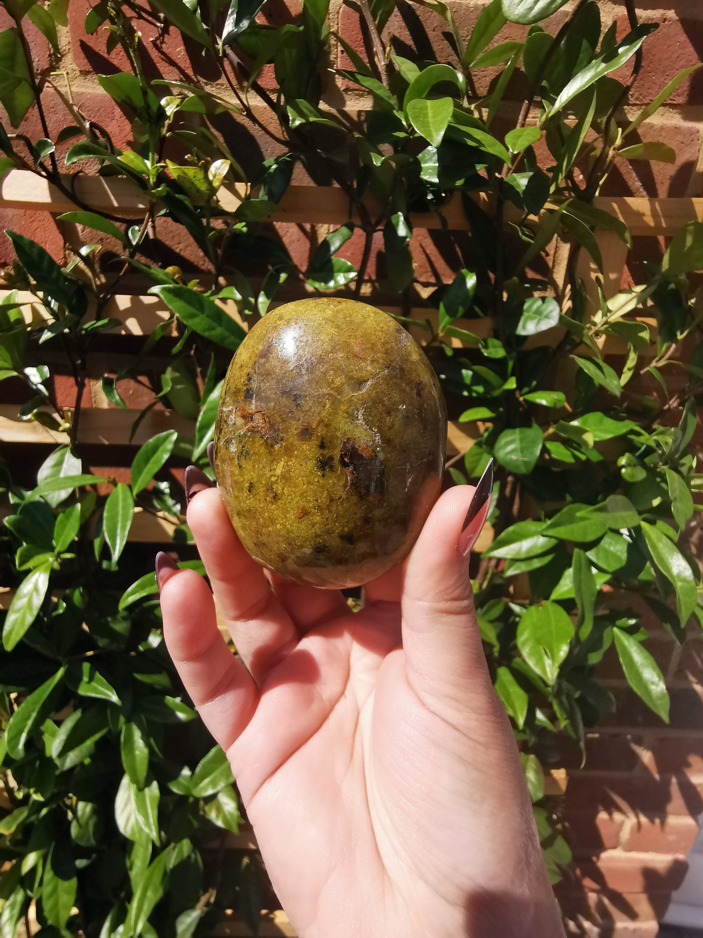 Green Opal Palm Stones from Madagascar