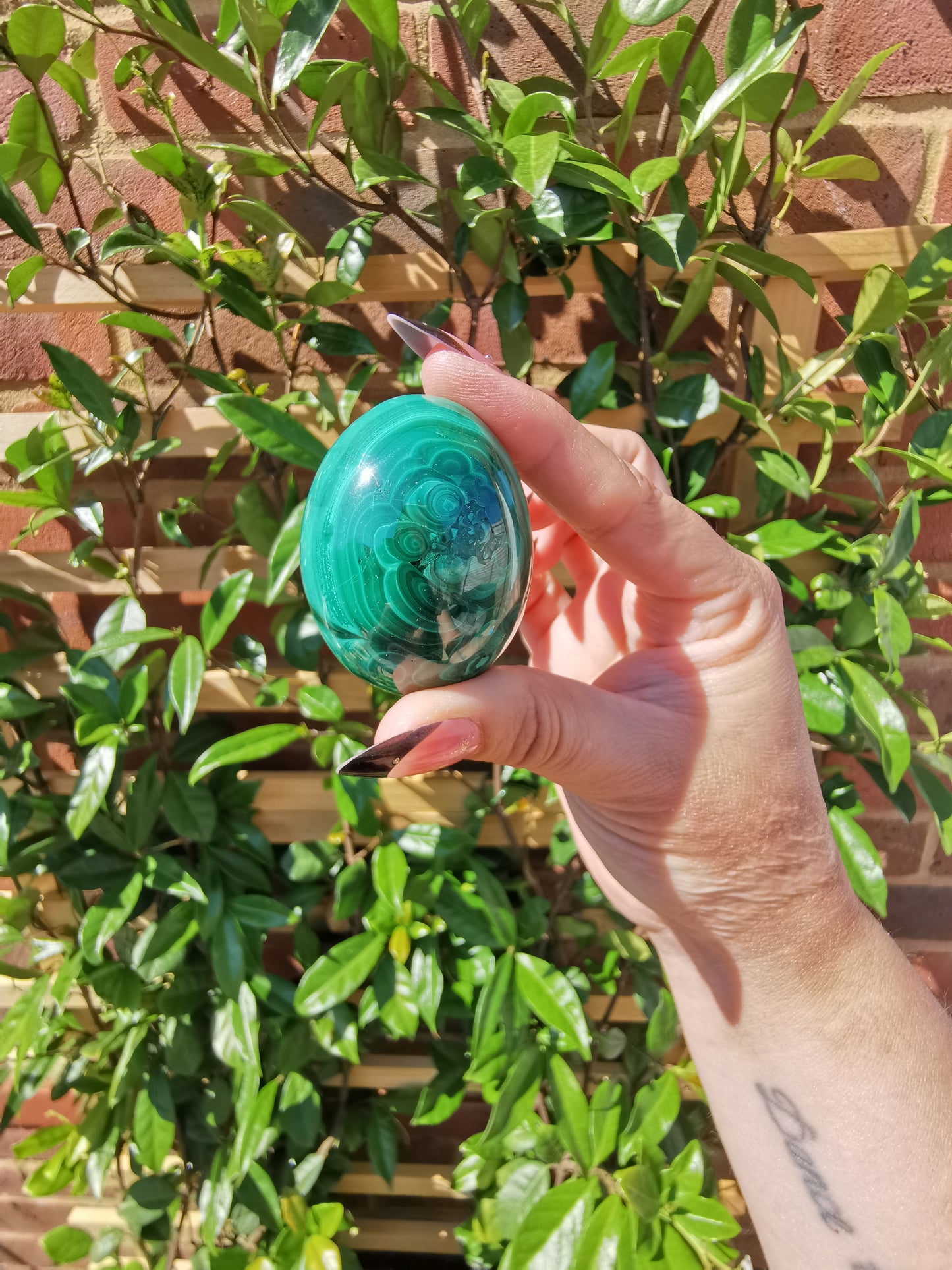A Grade Flower Banded Malachite Eggs from Congo