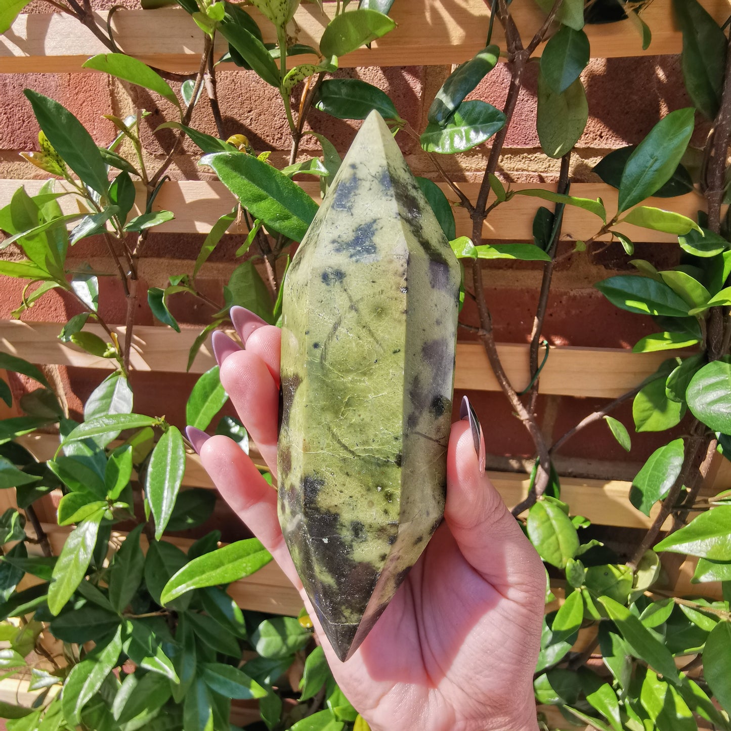 *Rare* Double Terminated Leopard Stone Points from Nyanga, Zimbabwe