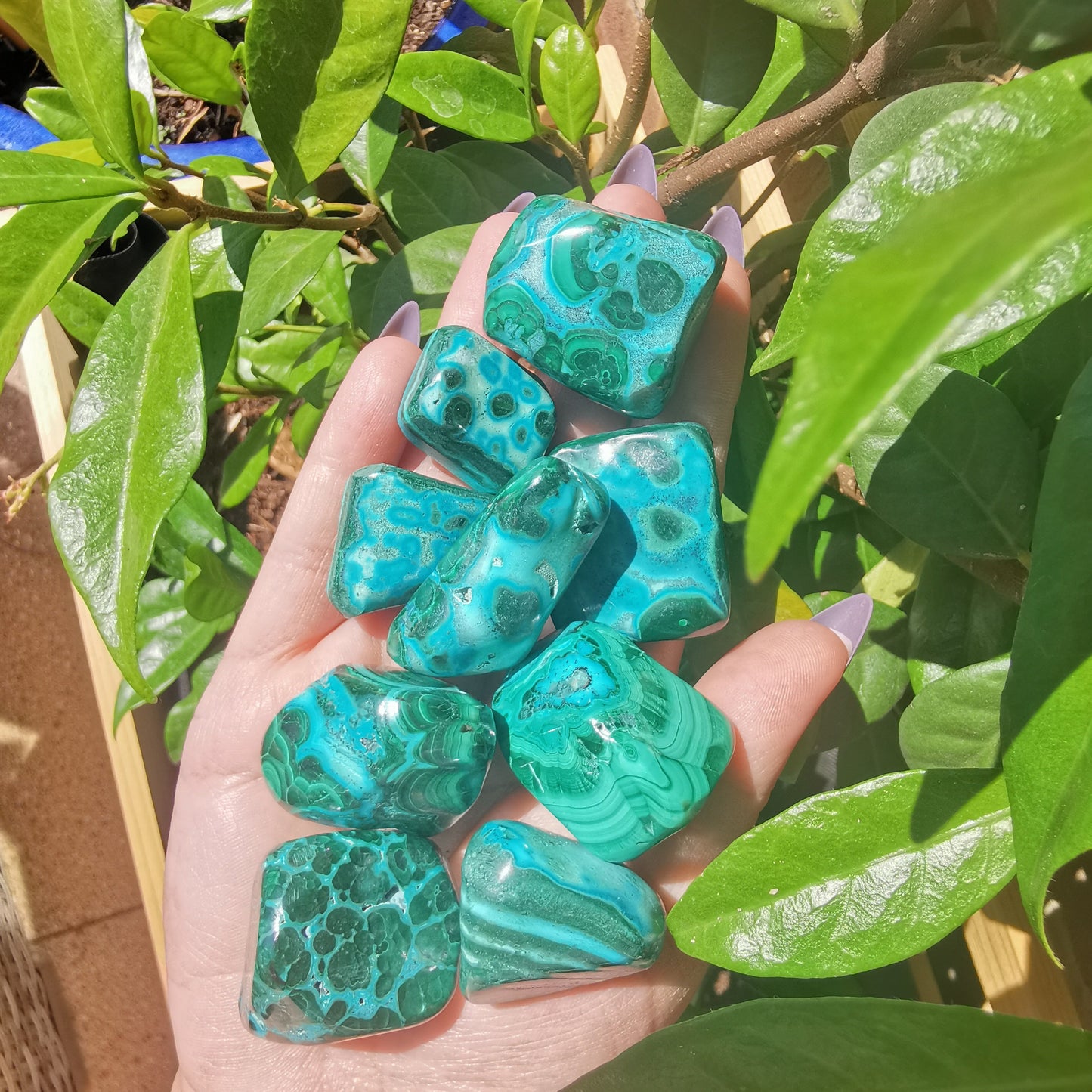 Small Malacholla Free Forms - Malachite & Chrysocolla from Congo
