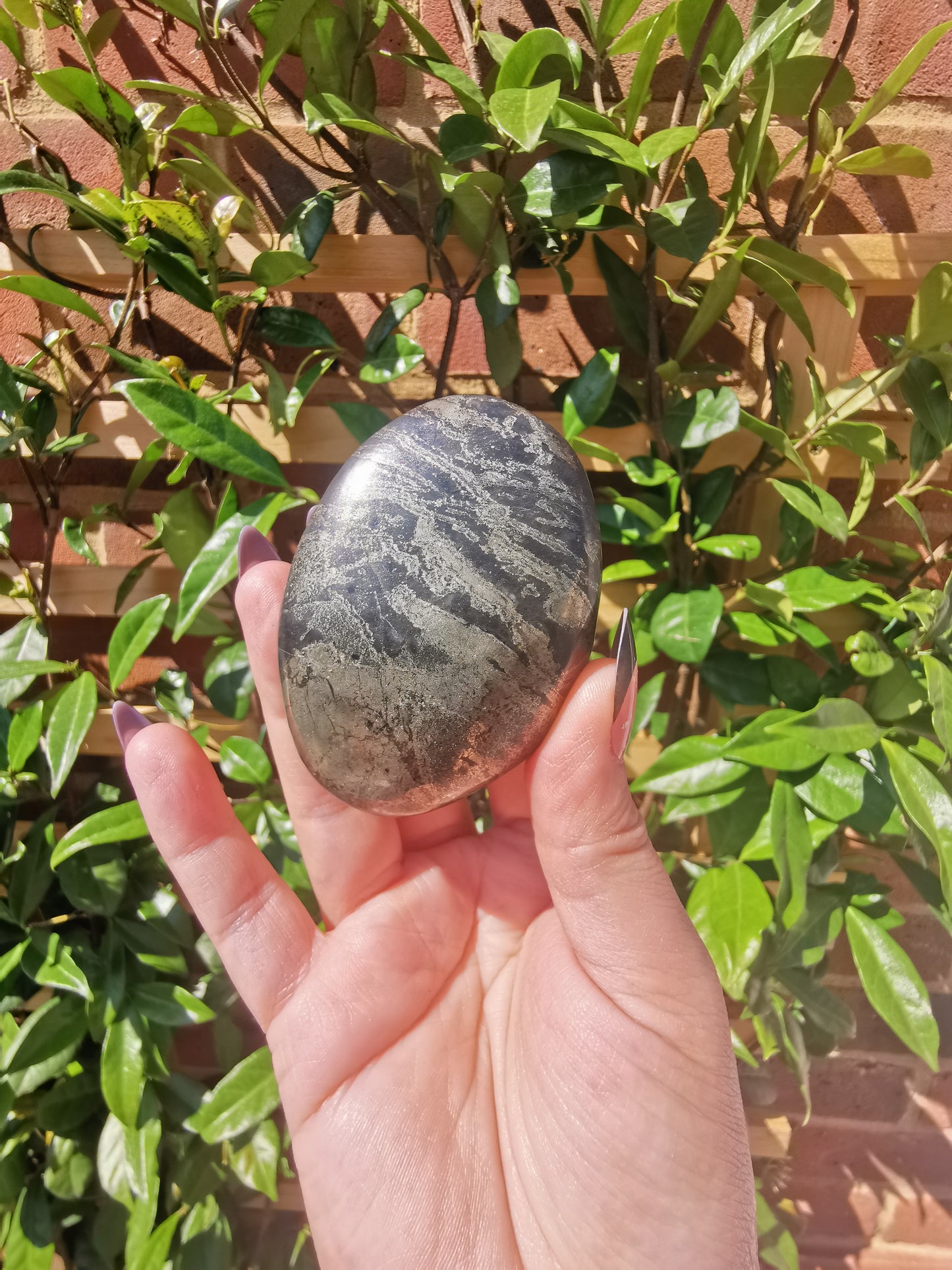 *Rare* Pharoah Stone - Pyrite in Basalt Palm Stones from Zimbabwe