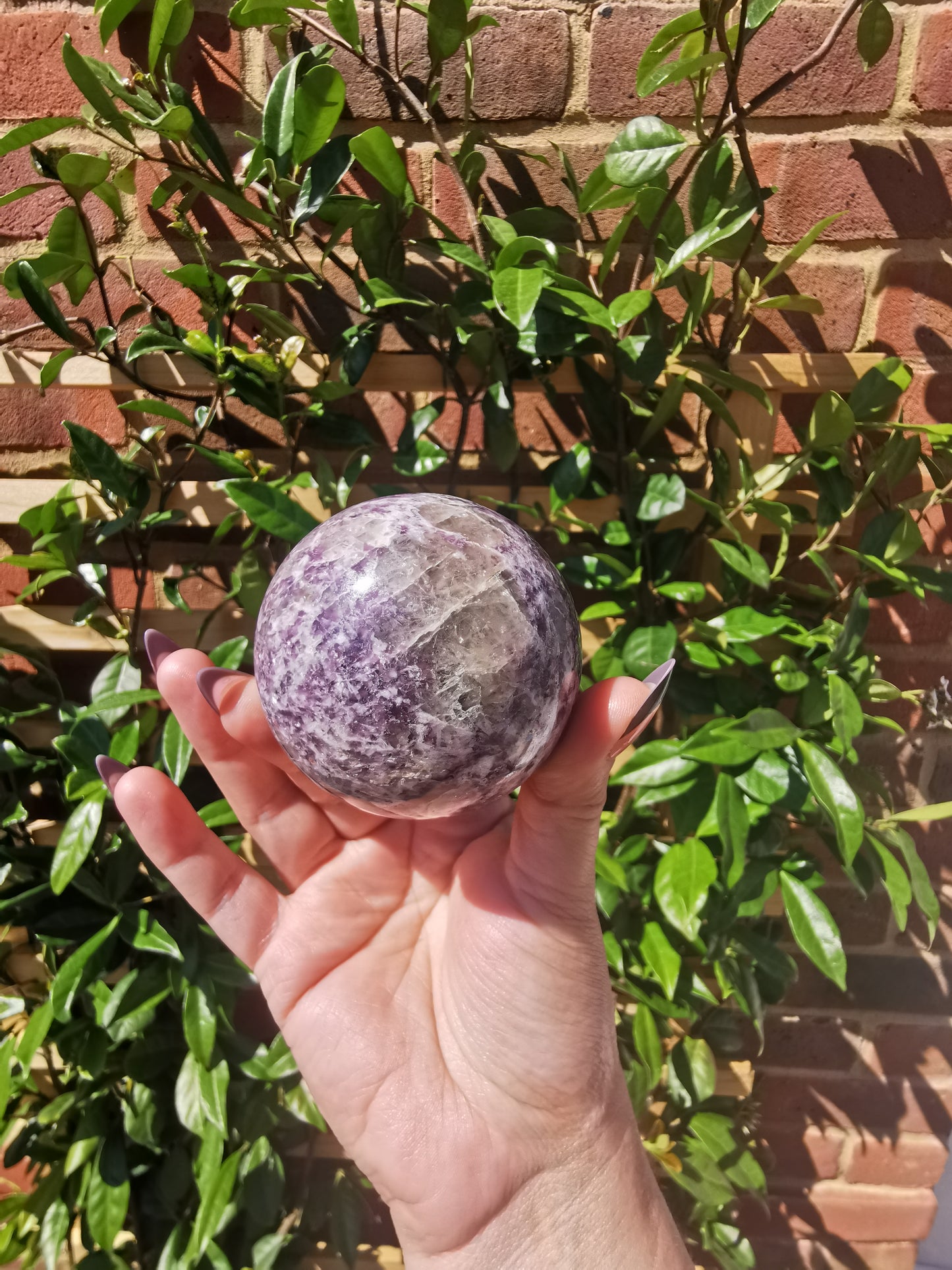 Lepidolite with Rubellite Spheres from Ambatondrazaka, Madagascar