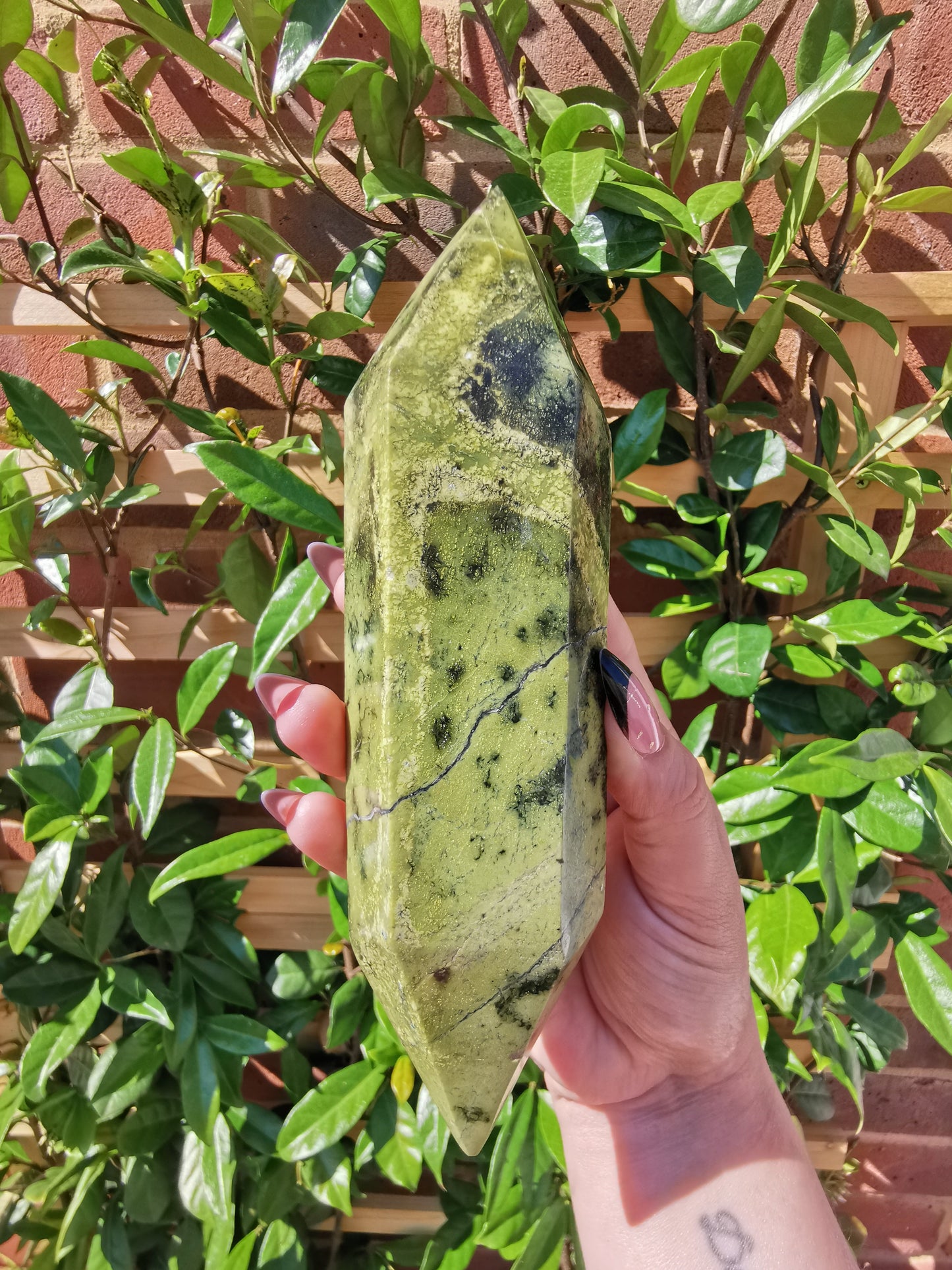 *Rare* Double Terminated Leopard Stone Points from Nyanga, Zimbabwe