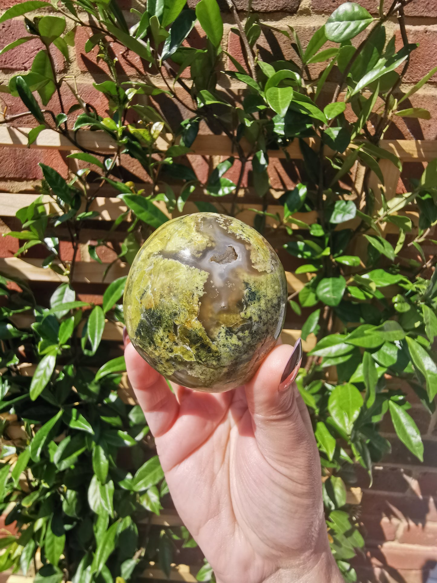 Green Opal Palm Stones from Madagascar