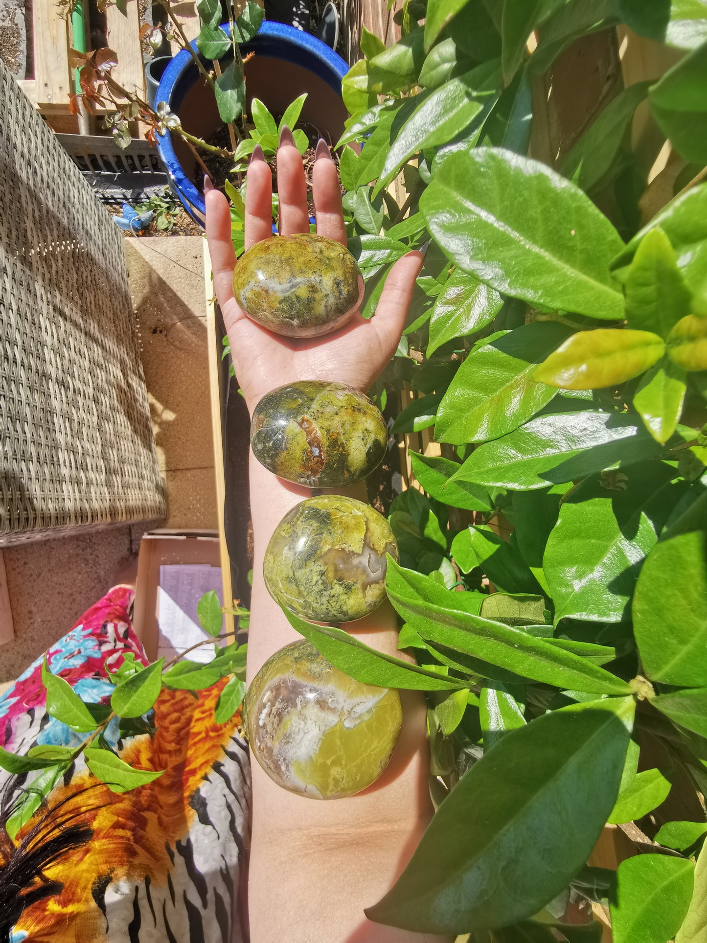 Green Opal Palm Stones from Madagascar