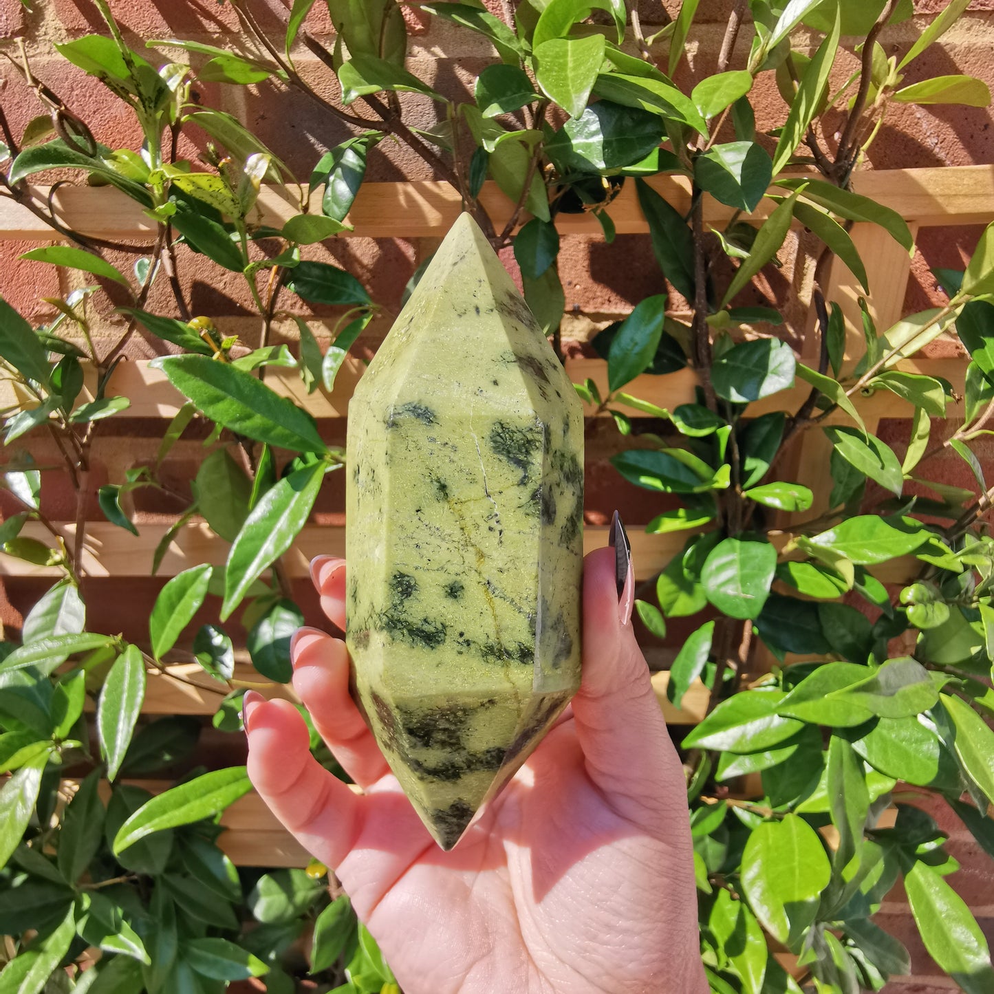 *Rare* Double Terminated Leopard Stone Points from Nyanga, Zimbabwe