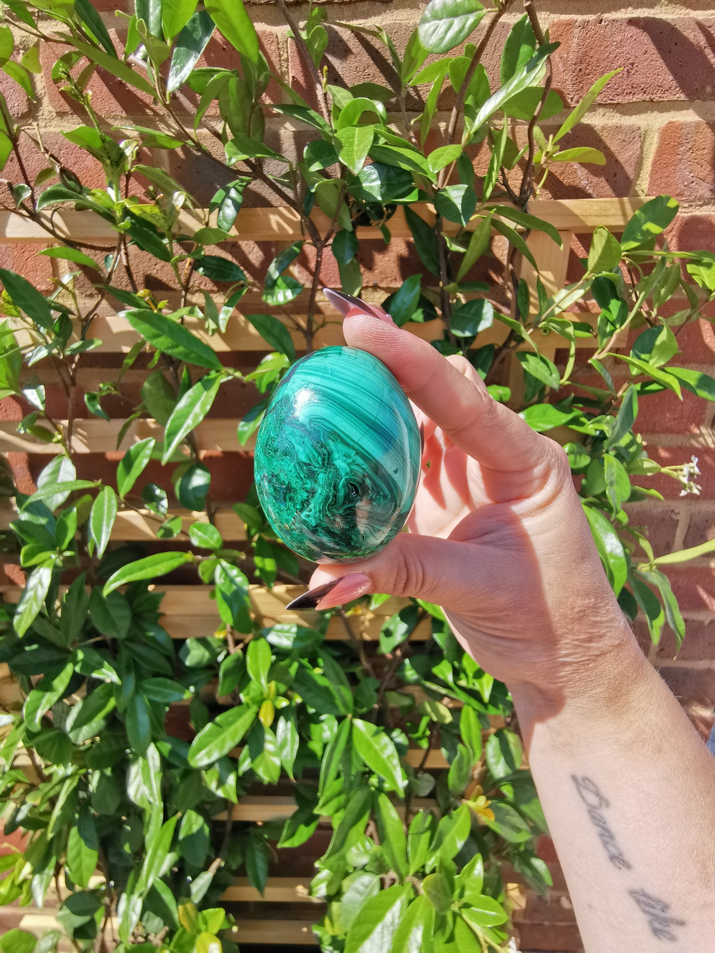 A Grade Flower Banded Malachite Eggs from Congo