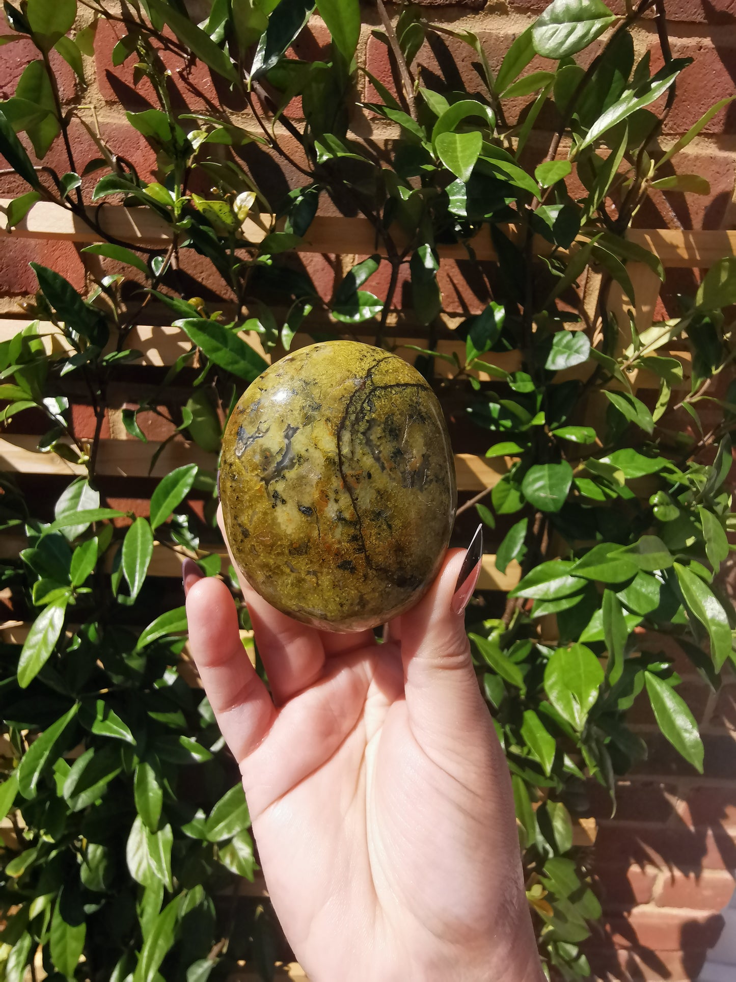 Green Opal Palm Stones from Madagascar