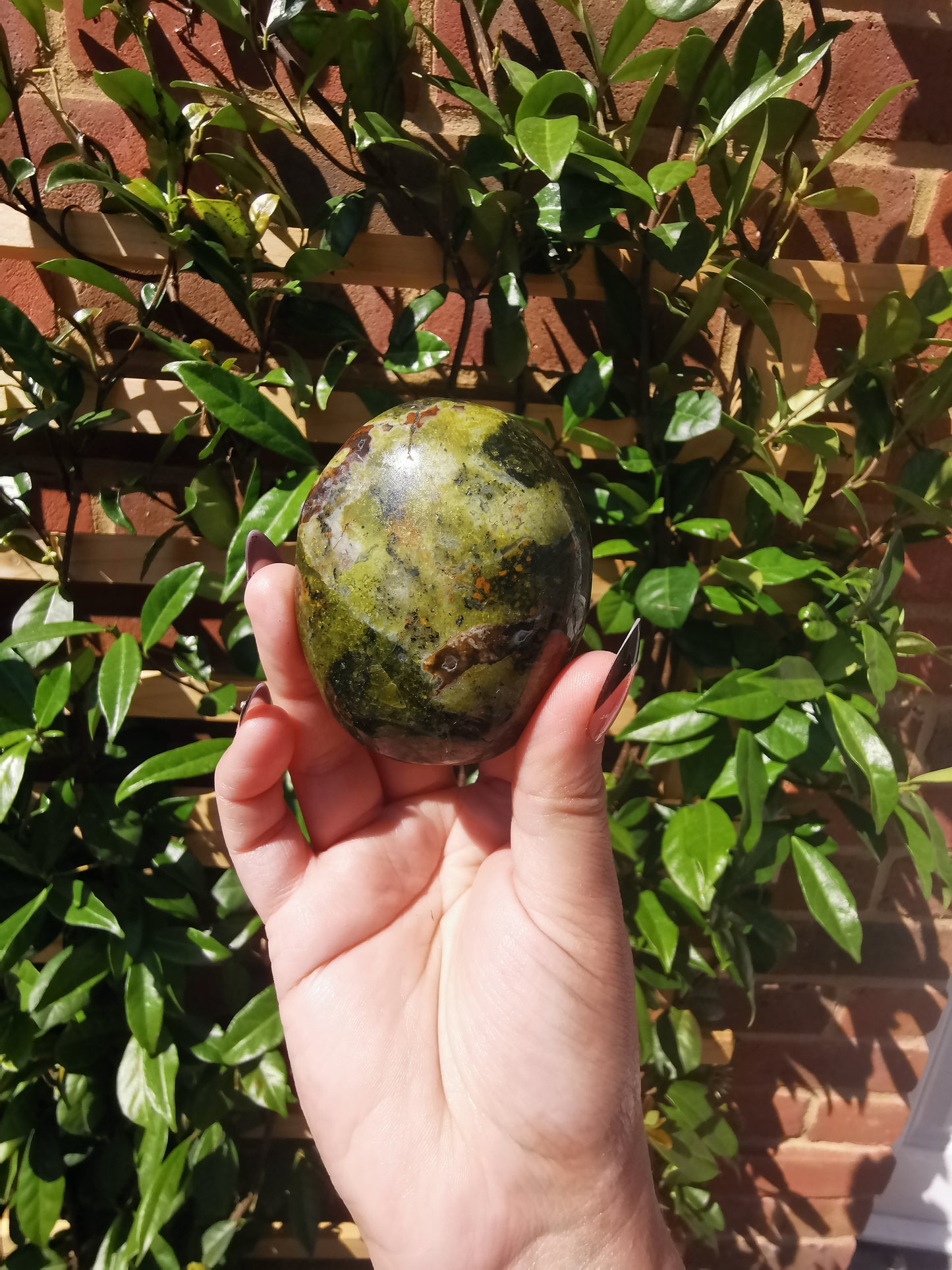 Green Opal Palm Stones from Madagascar