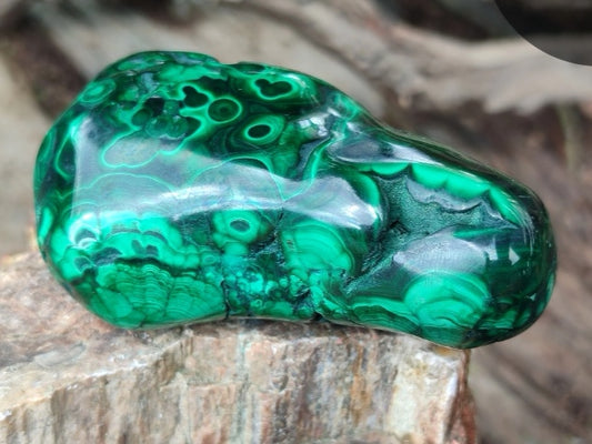 Malachite Free Forms from Congo