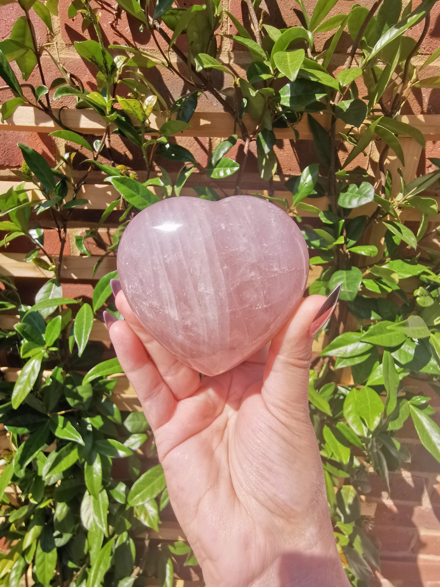Rose Quartz Hearts from Madagascar