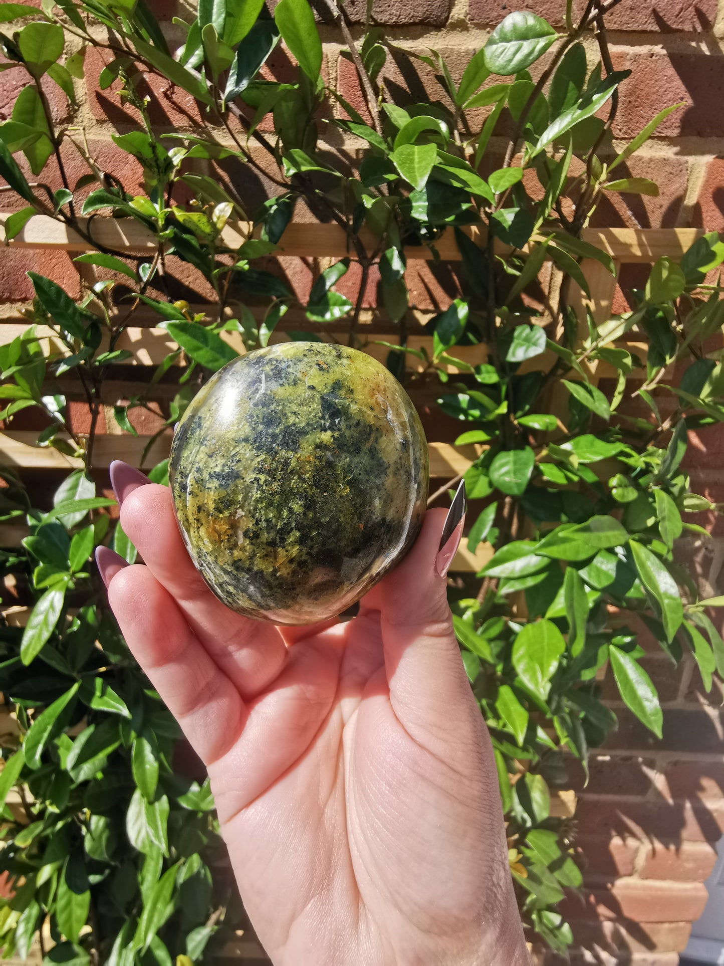 Green Opal Palm Stones from Madagascar