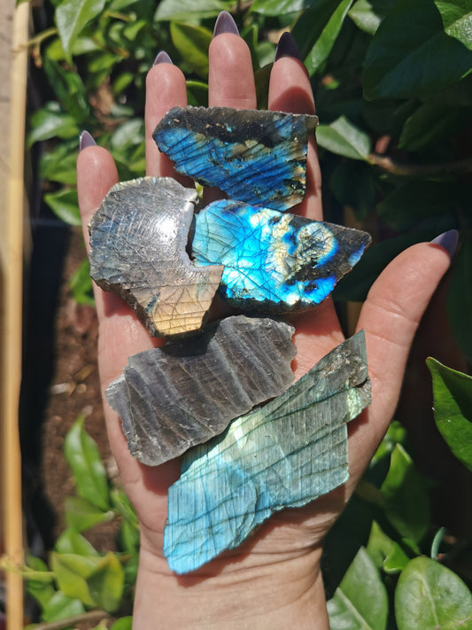 Flashy Labradorite Slices from Tulear, Madagascar
