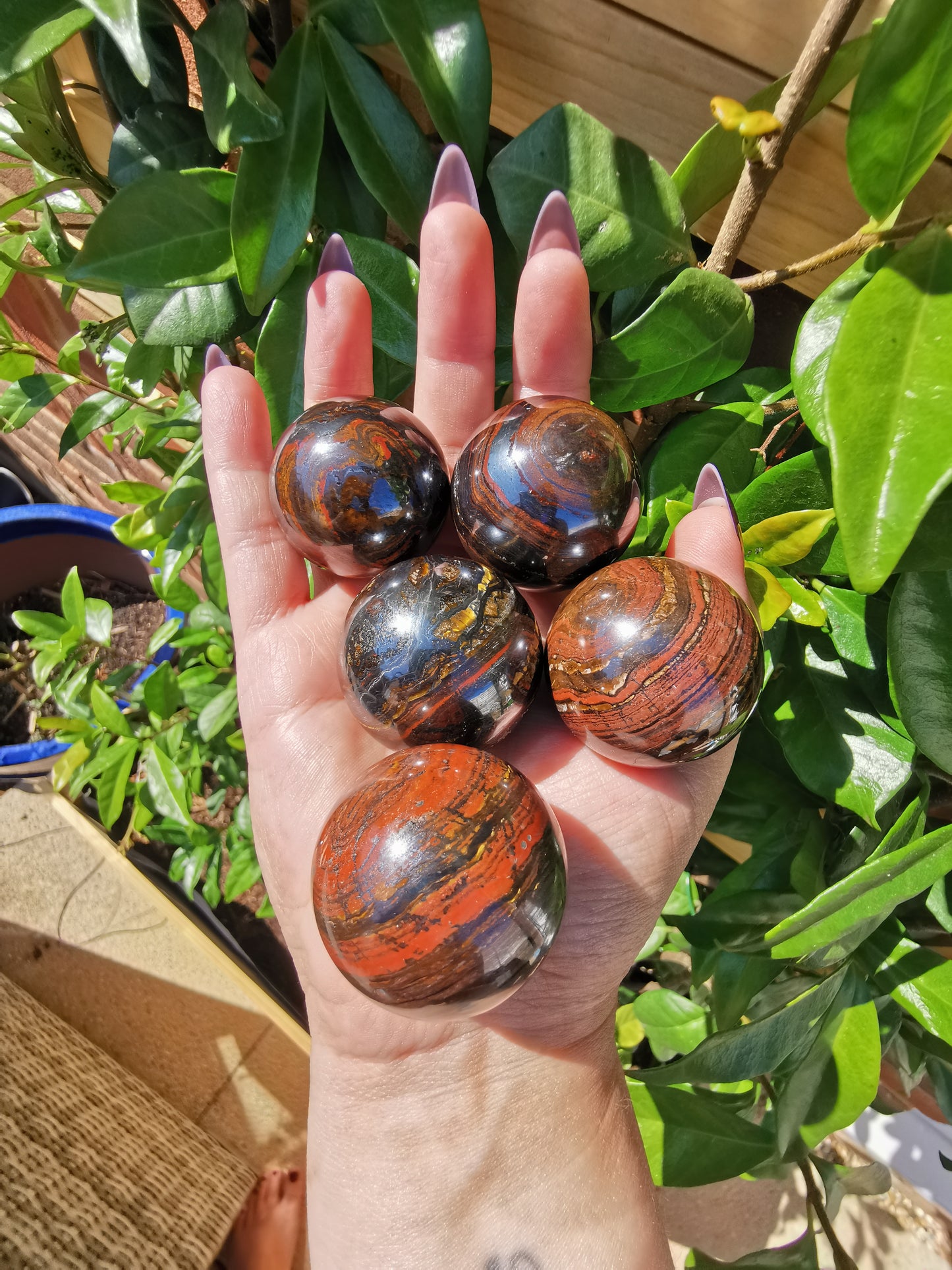Small Tiger Iron Spheres from Australia