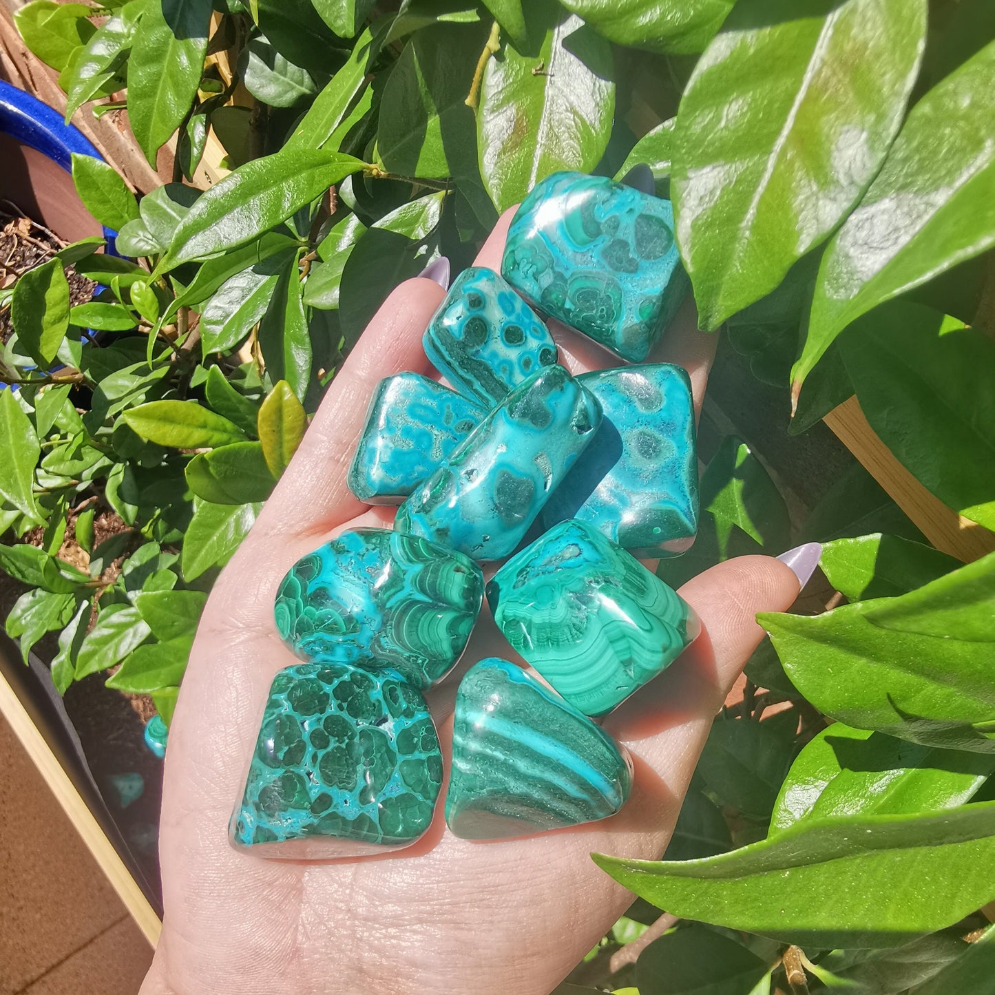 Small Malacholla Free Forms - Malachite & Chrysocolla from Congo