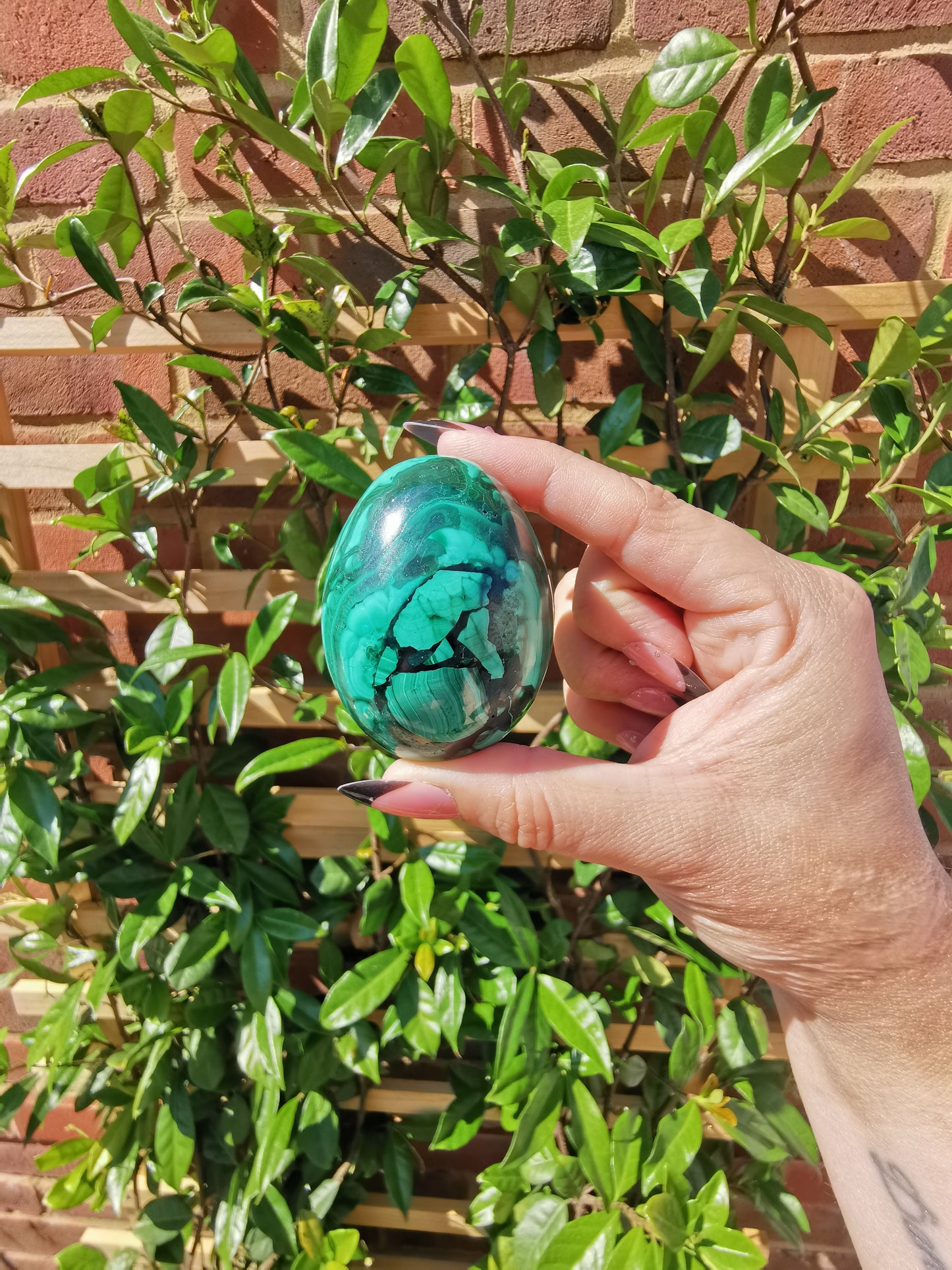 A Grade Flower Banded Malachite Eggs from Congo