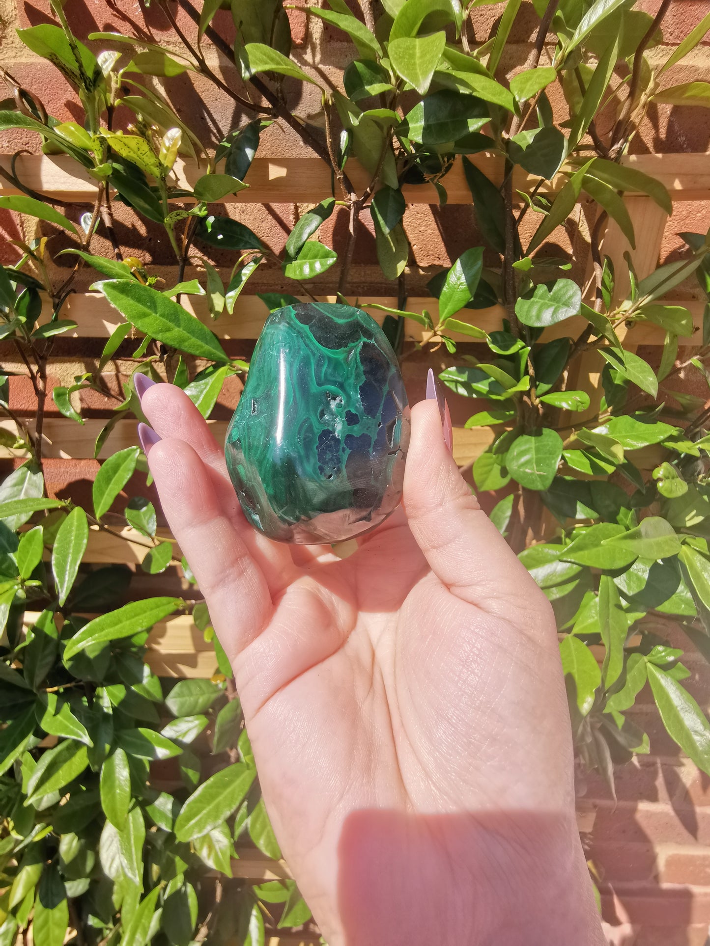 Malachite Free Forms from Congo