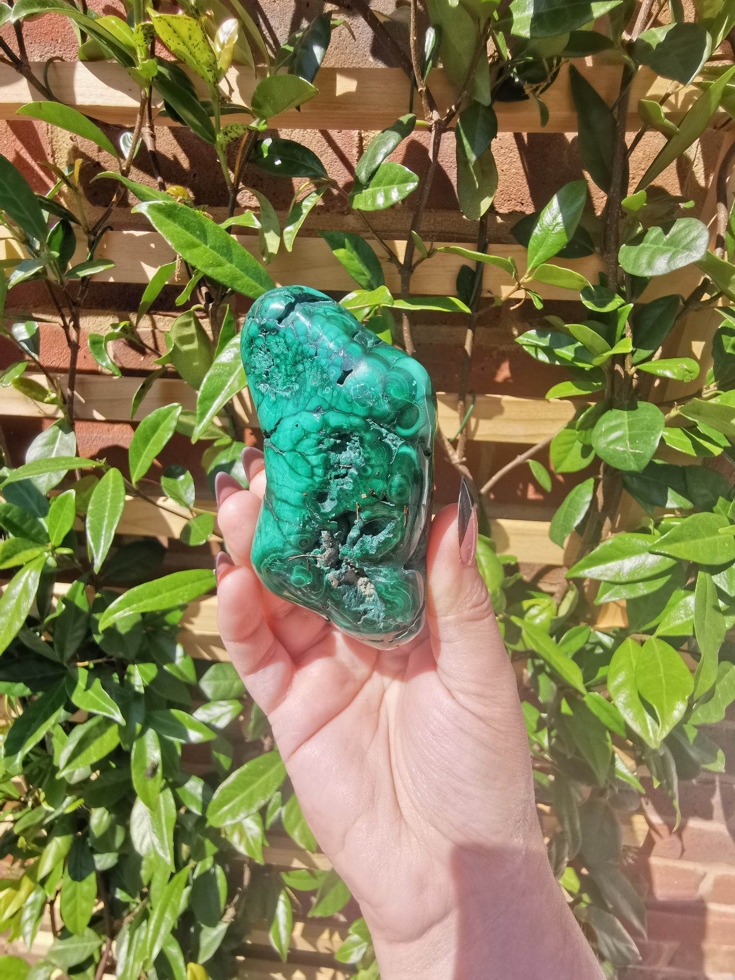 Malachite Free Forms from Congo