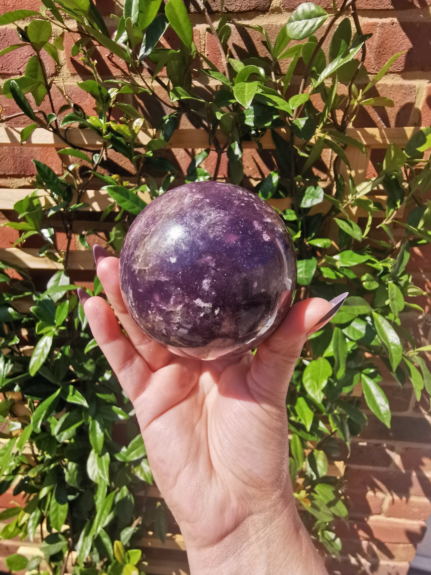 Lepidolite with Rubellite Spheres from Ambatondrazaka, Madagascar