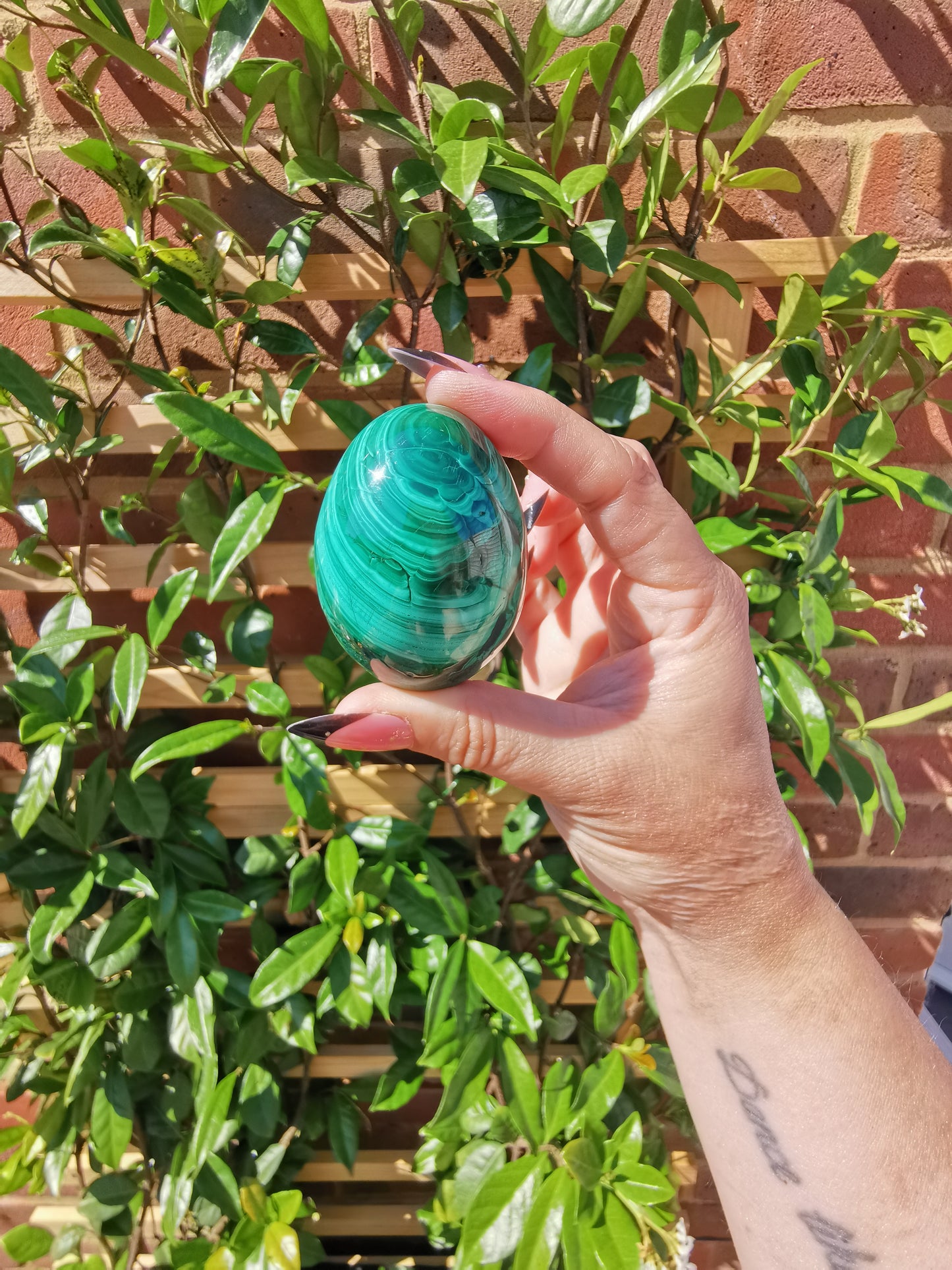 A Grade Flower Banded Malachite Eggs from Congo